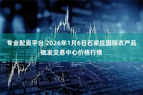 专业配资平台 2026年1月6日石家庄国际农产品批发交易中心价格行情